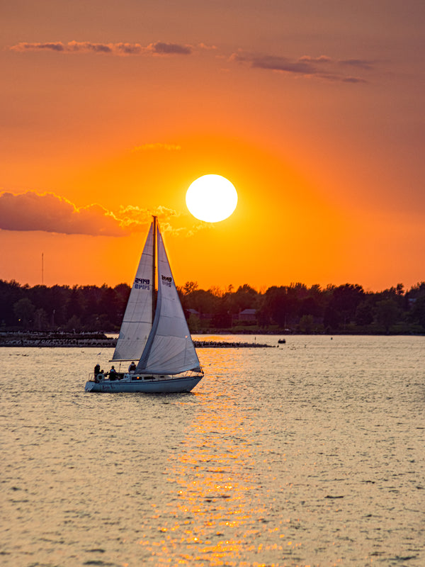 Golden Harbor
