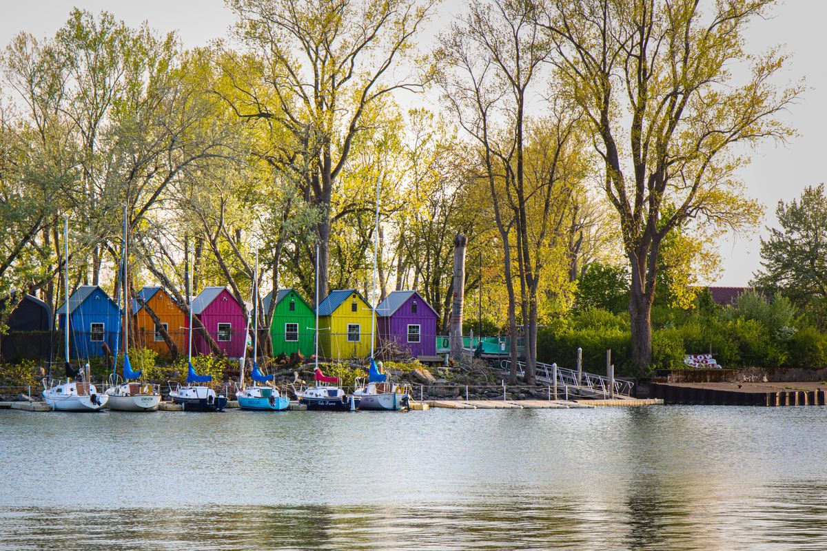 Springtime Colors