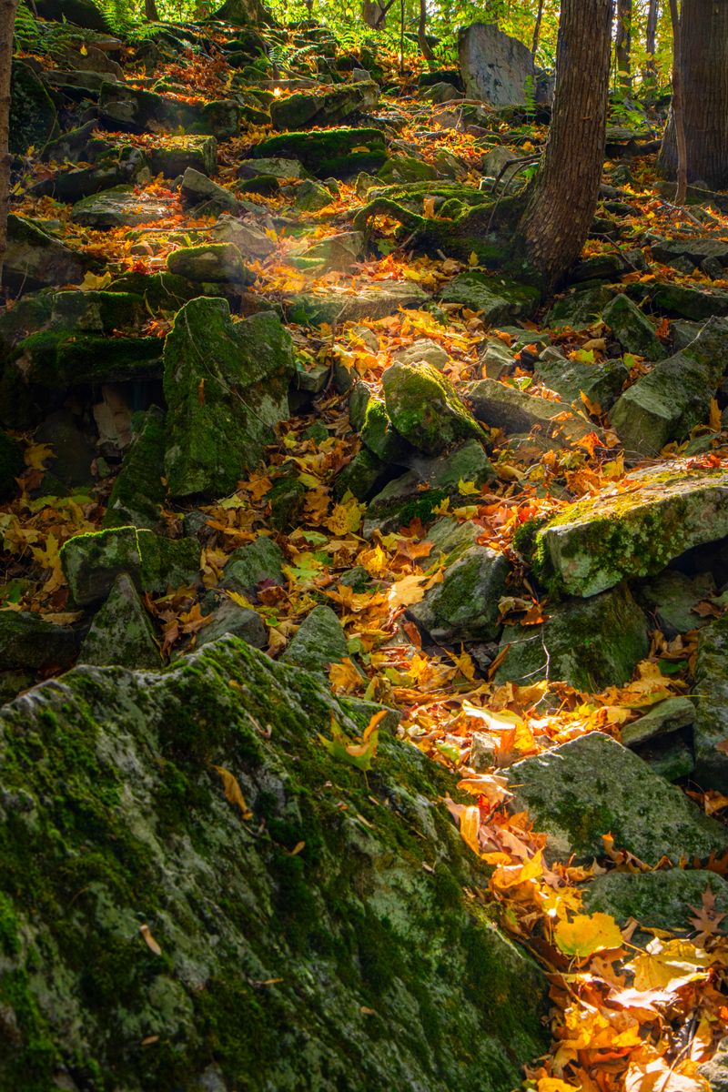 Waterfall Of Light