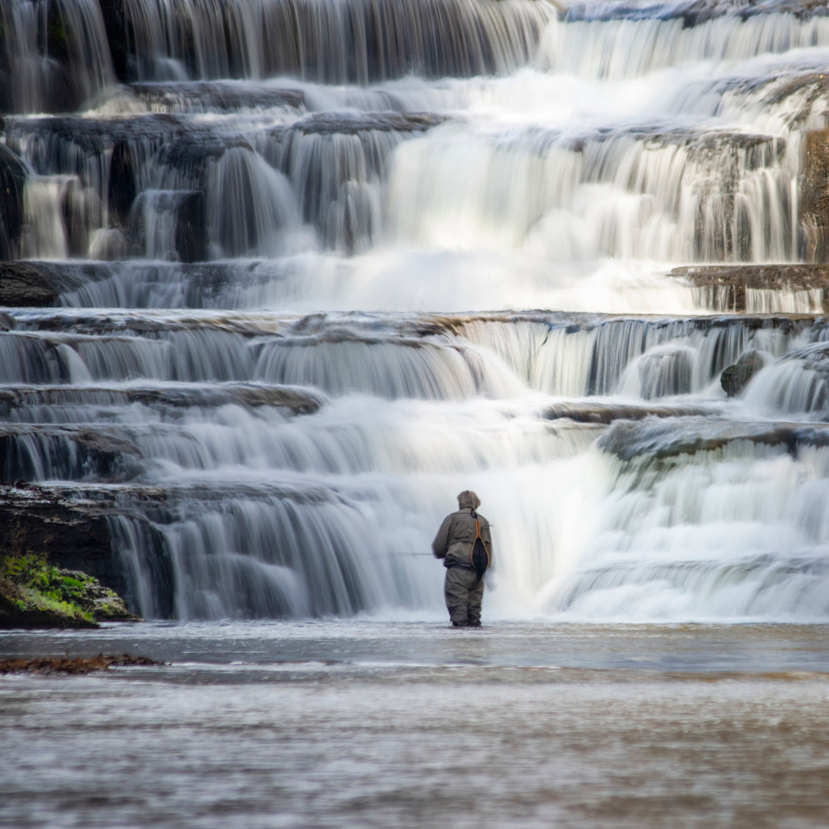 The Fisherman